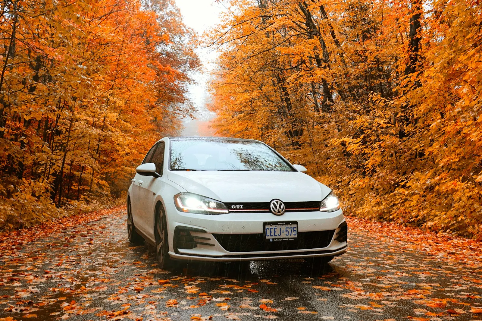 Volkswagen & Audi repair Ottawa